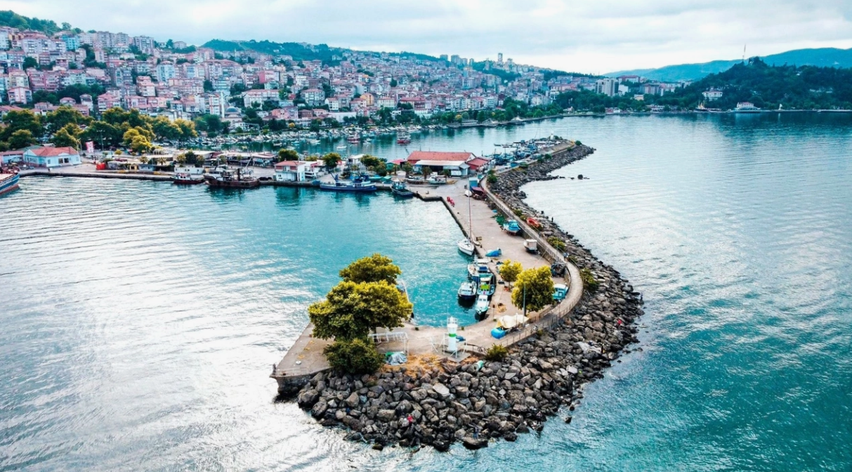 ZONGULDAK EREĞLİ ARTIKLAR KÖYÜNDE 611 M² FINDIK BAHÇESİ SATILIKTIR