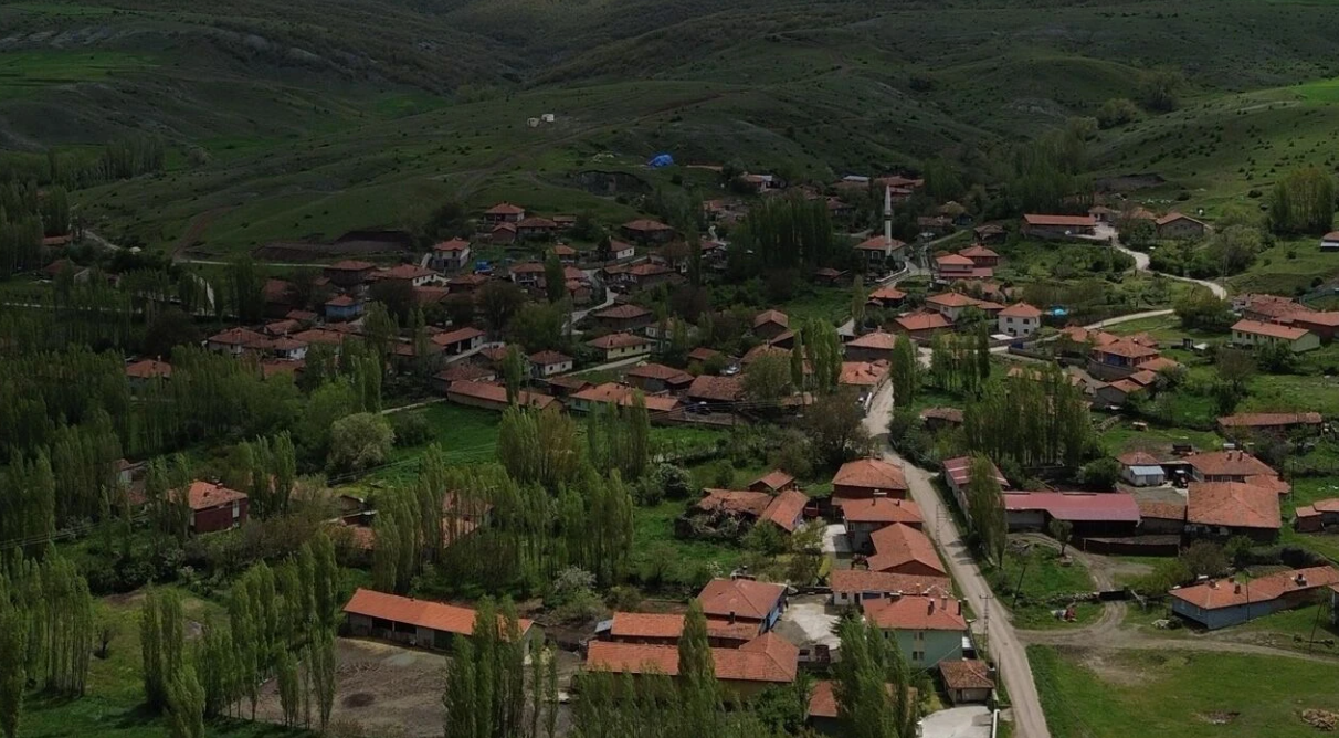 ÇORUM ALACA İMAT KÖYÜNDE 1.800 M² BAĞ SATILIKTIR