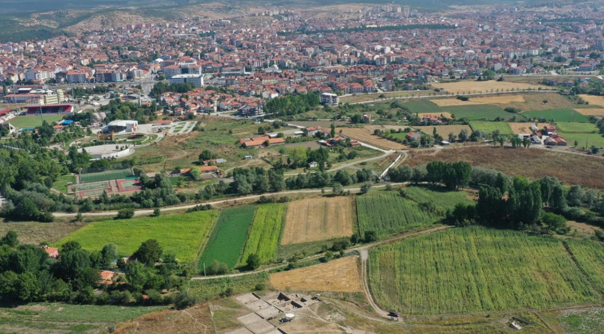 KÜTAHYA TAVŞANLI ÜYÜCEK  KÖYÜNDE 4.219 M² TARLA SATILIKTIR