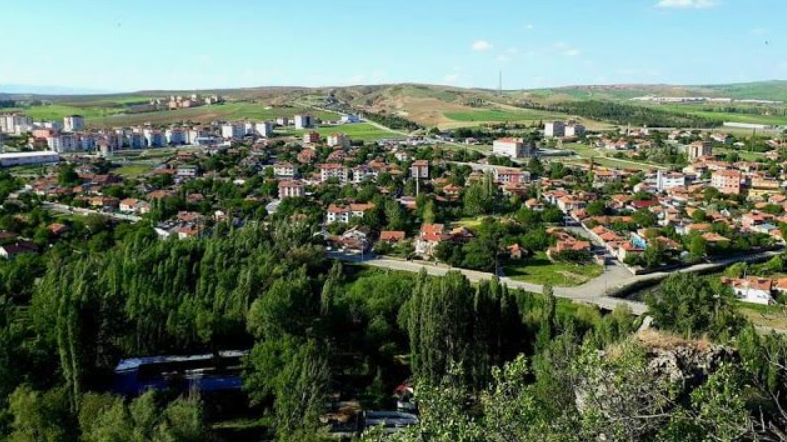 KAYSERİ BÜNYAN HAZERŞAH KÖYÜNDE 1.320 M² TARLAMIZ SATILIKTIR.