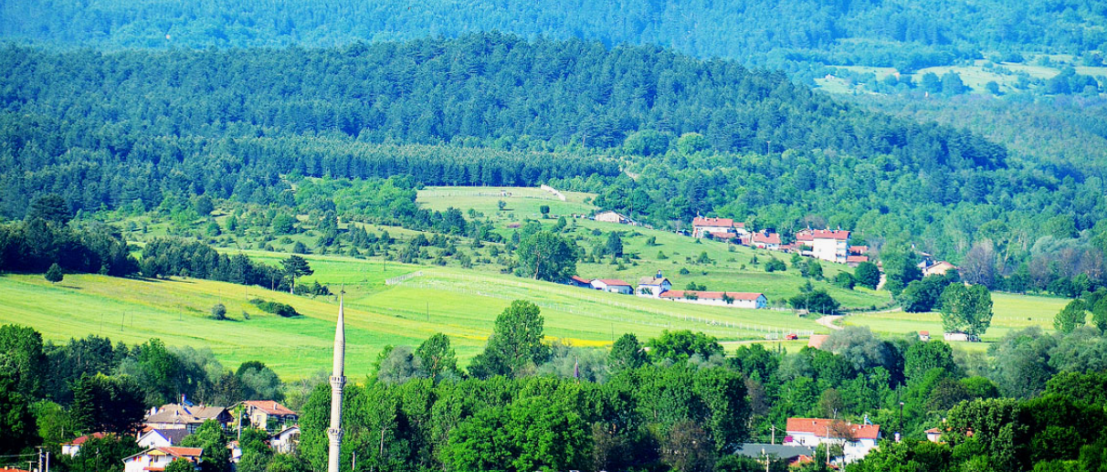 BOLU MENGEN BANAZ KÖYÜ’NDE 4.008 M² TARLA SATILIKTIR
