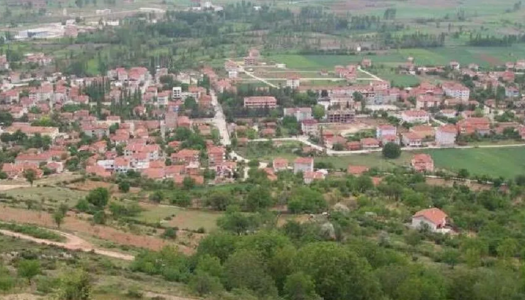 BİLECİK GÖLPAZARI DOKUZ KÖYÜNDE 945 M² TARLA SATILIKTIR