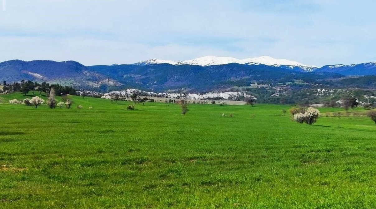 KÜTAHYA GEDİZ ÇOMAKLAR  KÖYÜNDE  463 M² ARSA  SATILIKTIR