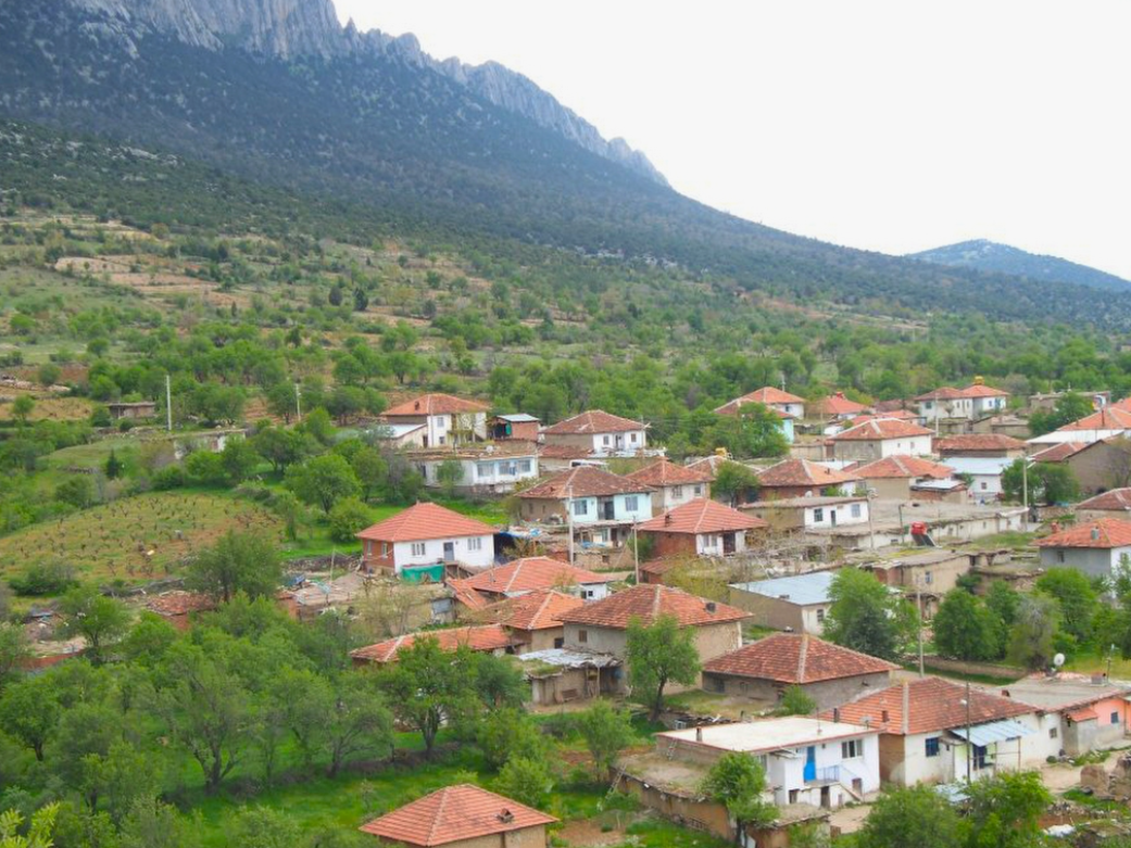 DENİZLİ BAKLAN HÜSAMETTİNDEDE   KÖYÜNDE 5.763  M²   BAĞ  SATILIKTIR