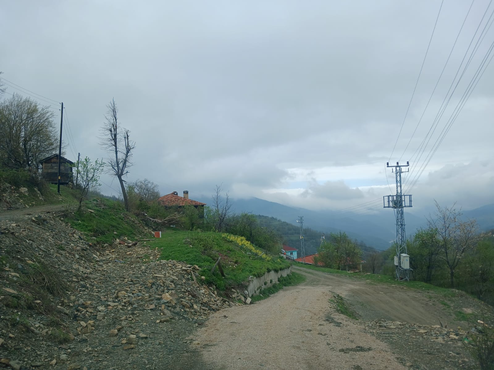 İlan Resmi