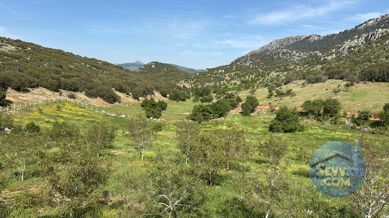 AĞLASUN ÇANAKLI KÖYÜNDE SATILIK CEVİZLİK - Burdur Ağlasun fotoğraf 4