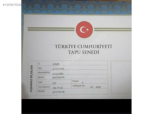 İZMİR BAYINDIR KIZILOVA  KÖYÜNDE 182  M² ZEYTİNLİK  SATILIKTIR - İZMİR BAYINDIR fotoğraf 7