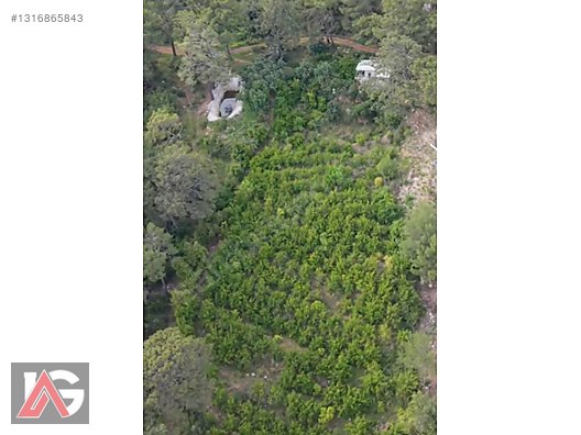 Doğanın İçinde, Deniz Gören, Elektrik ve Suyu Hazır Fırsat Arazi - ANTALYA KUMLUCA fotoğraf 18