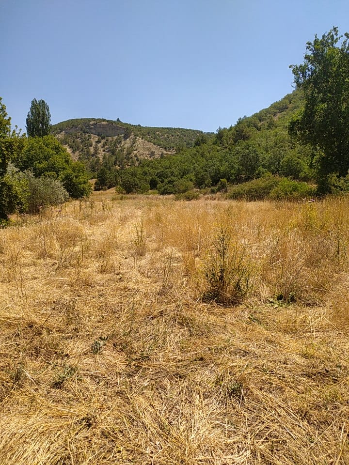 🌿 DİKEN ÇAYINA VE KÖY YOLUNA CEPHELİ – KARABEYLİ / MERKEZ /UŞAK - UŞAK MERKEZ fotoğraf 4