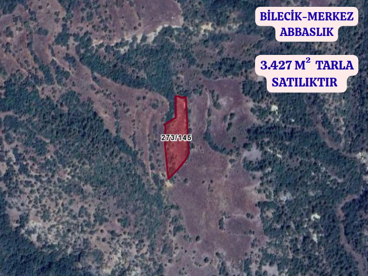 BİLECİK MERKEZ ABBASLIK   KÖYÜNDE  3.427 M²  TARLA  SATILIKTIR - BİLECİK MERKEZ fotoğraf 2
