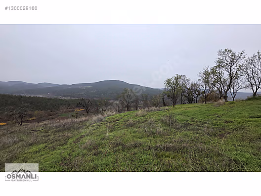 RESMİ YOLLU 800 M2 MANZARALI HOBİ BAHÇESİ - BİLECİK GÖLPAZARI fotoğraf 3