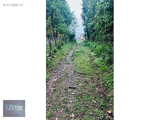 14 DÖNÜM TEK TAPU - BARTIN MERKEZ fotoğraf 6