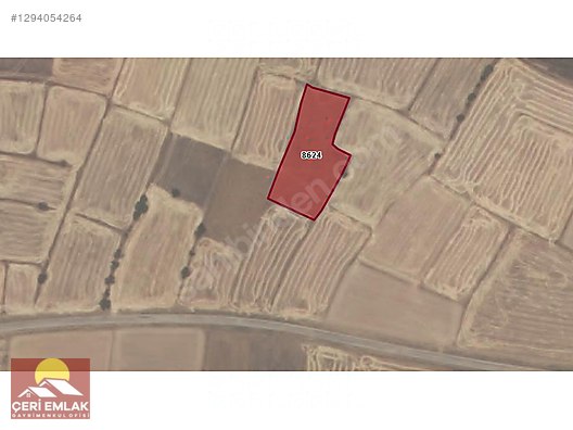 AFYON BAŞMAKÇI MERKEZ 3300 MT²TARLAMIZ SATILIKTIR - AFYONKARAHİSAR BAŞMAKÇI fotoğraf 5