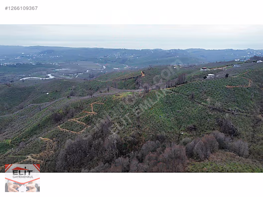 DÜZCE AKÇAKOCA DA EV YAPIMINA UYGUN SATILIK 7.768 M2 FINDIKLIK - DÜZCE AKÇAKOCA fotoğraf 28
