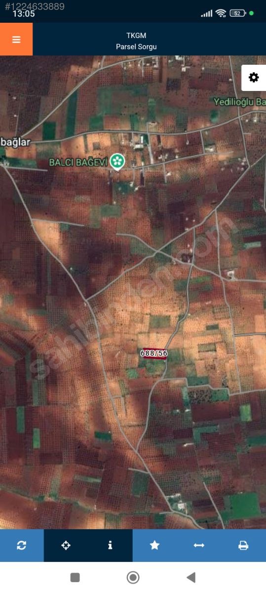 acil satılık 65 agac yerli Zeytinlik mevcut kadastroyoluna sıfır - KİLİS MERKEZ fotoğraf 3