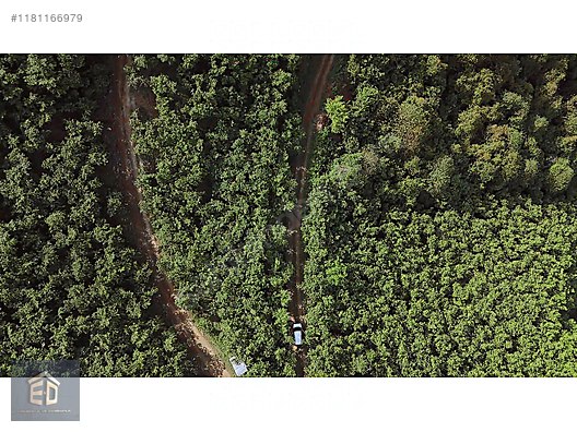 YOMRA GÜLYURDUN'DA SATILIK 6.298M2 ARSA - TRABZON YOMRA fotoğraf 7