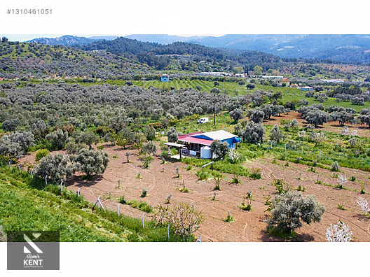 Kemalpaşa Halilbeylide Satılık 3000 m2 Bahçe 40 m2 Ev - İZMİR KEMALPAŞA fotoğraf 23