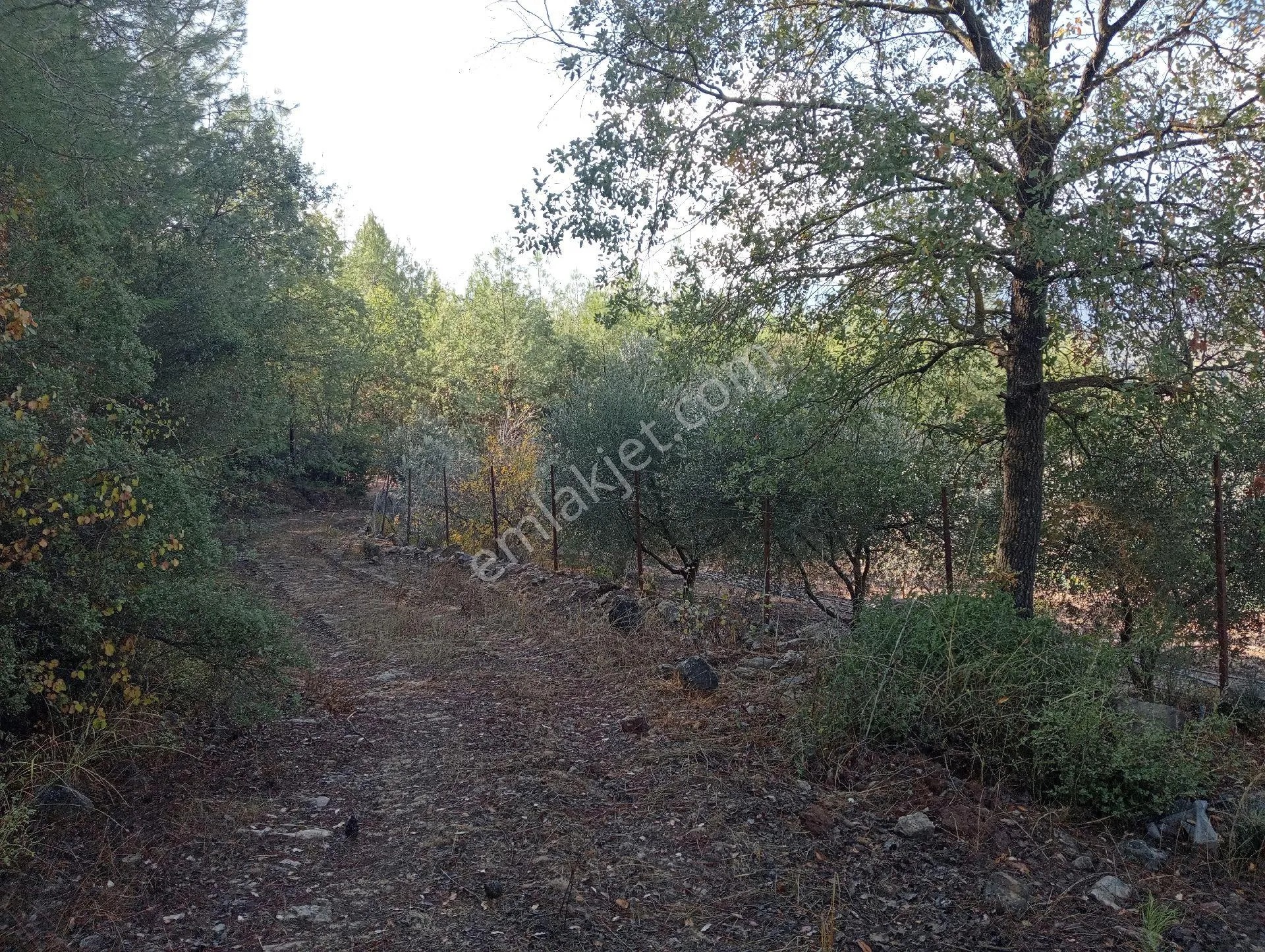 Antalya Kumlucada Satılık Müstakil Bahçe İnceoğlu Emlak - ANTALYA KUMLUCA fotoğraf 10