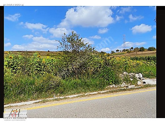 AYHAN HEPDİKER DEN SALMANLIDA ASVALT YOLA CEPHELİ 1.377m2 TARLA - SAKARYA ADAPAZARI fotoğraf 17