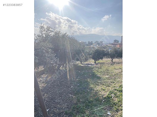 ACİLL SATILIK ARSA 615 M² Hatay / Belen / Sarımazı Mh. - HATAY BELEN fotoğraf 5