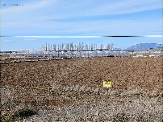 GÜLTEKİN EMLAKTAN YAMADIDA ÇAVDIR YOLU ÜZERİNDE SATILIK TARLA - BURDUR GÖLHİSAR fotoğraf 4