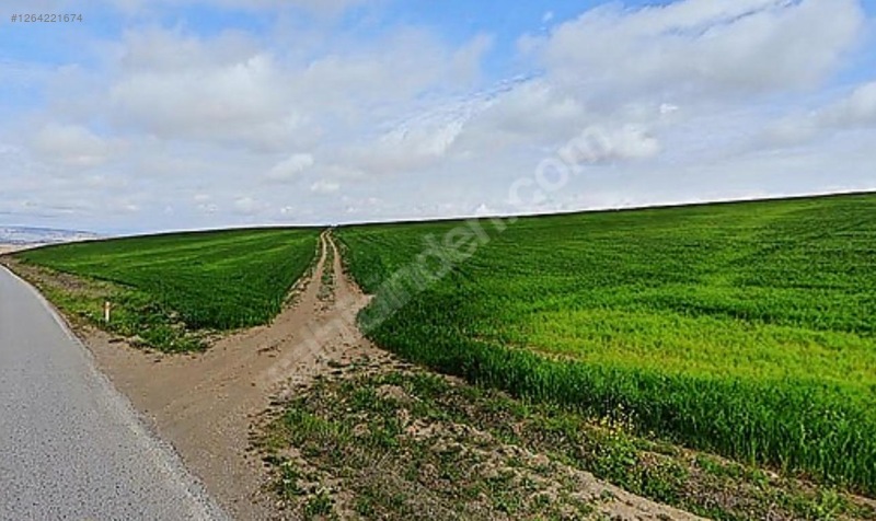 ÇANKIRI MERKEZ TUZLU   KÖYÜNDE 2.300  M² TARLA  SATILIKTIR - ÇANKIRI MERKEZ fotoğraf 7