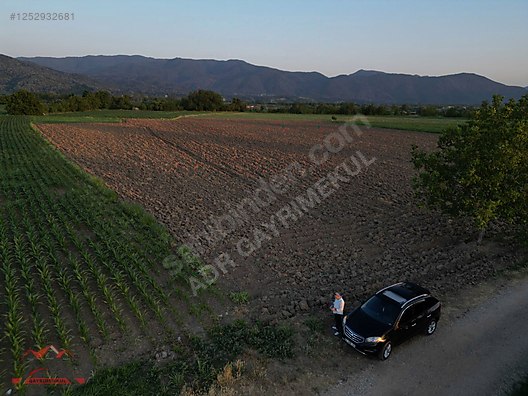 SAKARYA ARİFİYE Y.KİRAZ MAH.İMAR SINIRINA300 MT YATIRIMLIK TARLA - SAKARYA ARİFİYE fotoğraf 7