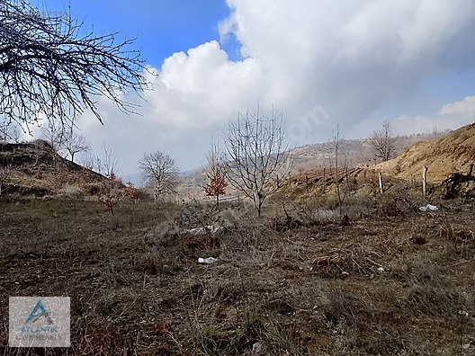 Atlantik'ten Ovacık Yaylası nda satılık Bahçe - İZMİR ÖDEMİŞ fotoğraf 6