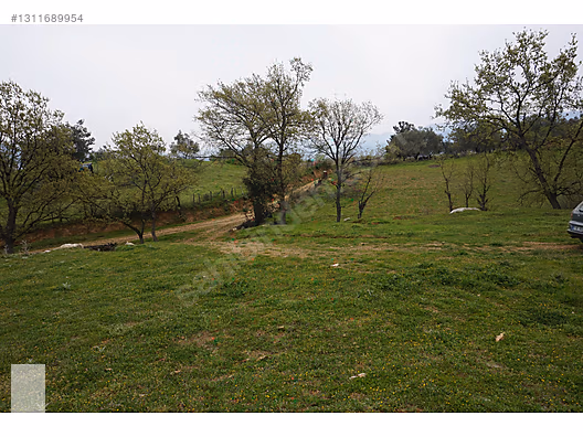 ÇANAKKALE BAYRAMİÇ DALOBA KÖYÜ 4781 m2 TARLA - ÇANAKKALE BAYRAMİÇ fotoğraf 22