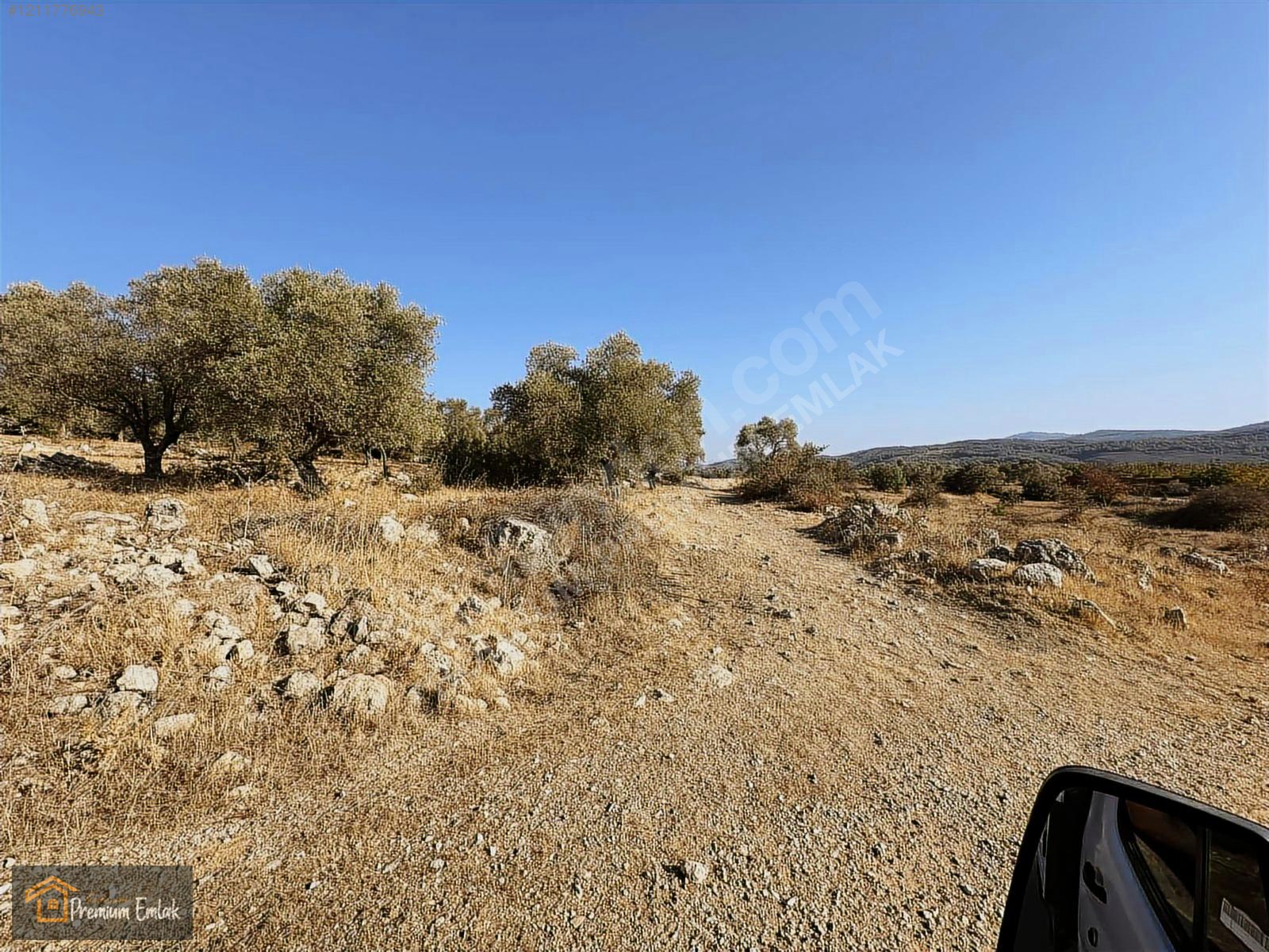 MİLAS KARACAHİSAR MAH.SU ELEKT YOLA SIFIR 10.754mt SATILIK TARLA - MUĞLA MİLAS fotoğraf 3