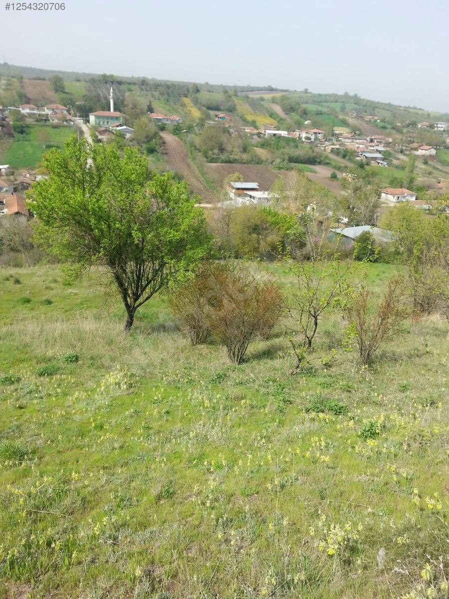 BURSA M.KEMALPAŞA DEMİRDERE KÖYÜNDE 4.536 M² TARLA SATILIKTIR. - BURSA MUSTAFAKEMALPAŞA fotoğraf 9