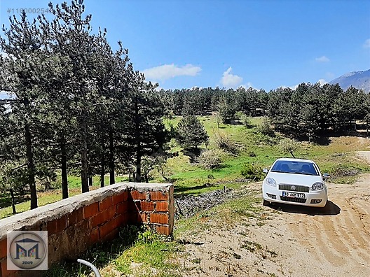 HAVRAN FAZLICA HANLAR MEVKİİ EKO TURİZME UYGUN 12500 M2 TARLA