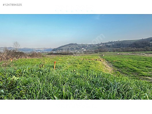 Asfalta Cephe, Köşe Parsel, Çeşme Karşısı, Köy Dibinde, Eğimsiz! - KOCAELİ KANDIRA fotoğraf 2