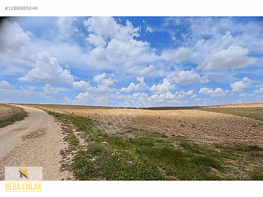 DEPOLAMAYERİ-HAYVANCILIK-ÇİFTLİK KURULUMUNA UYGNTEKTAPU 18.400m2 - KONYA CİHANBEYLİ fotoğraf 2