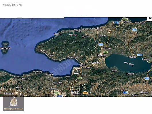 BURSA GEMLİK GENÇALİDE SATILIK ZEYTİNLİK - BURSA GEMLİK fotoğraf 6