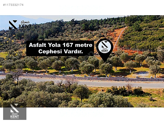 Kemalpaşa Sütçüler Satılık 11.398 m2 Bahçe - İZMİR KEMALPAŞA fotoğraf 19