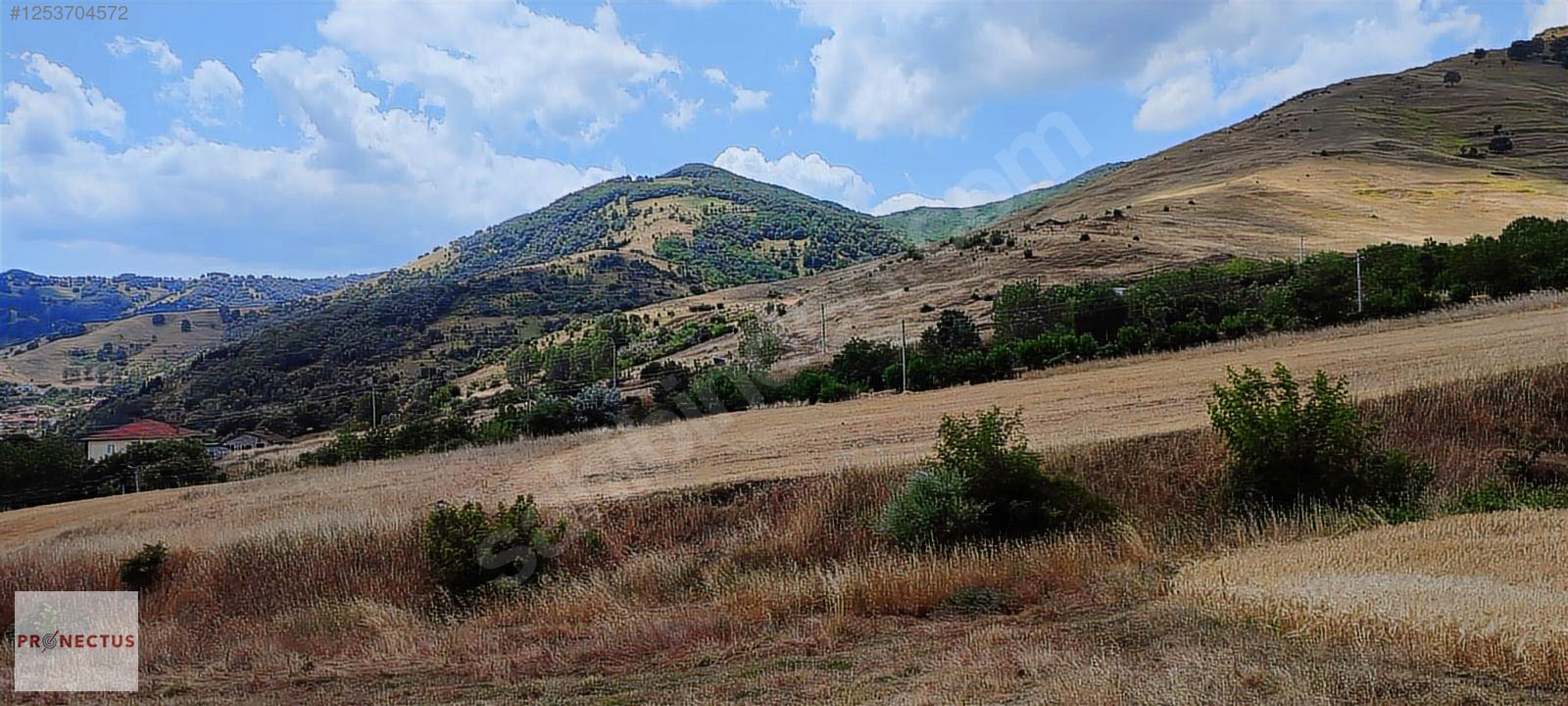 KIZDERBENT MAH. 588 M2 KONUT İMARLI ARSA - KOCAELİ KARAMÜRSEL fotoğraf 5