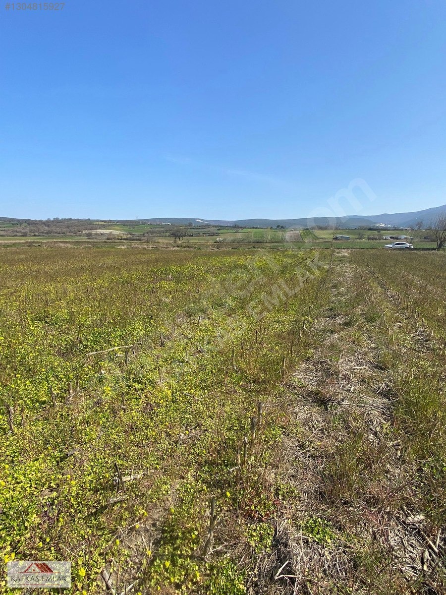 KAFKAS EMLAKTAN DEMİRELİ DE 5.600 M2 TARLA - BURSA MUSTAFAKEMALPAŞA fotoğraf 13