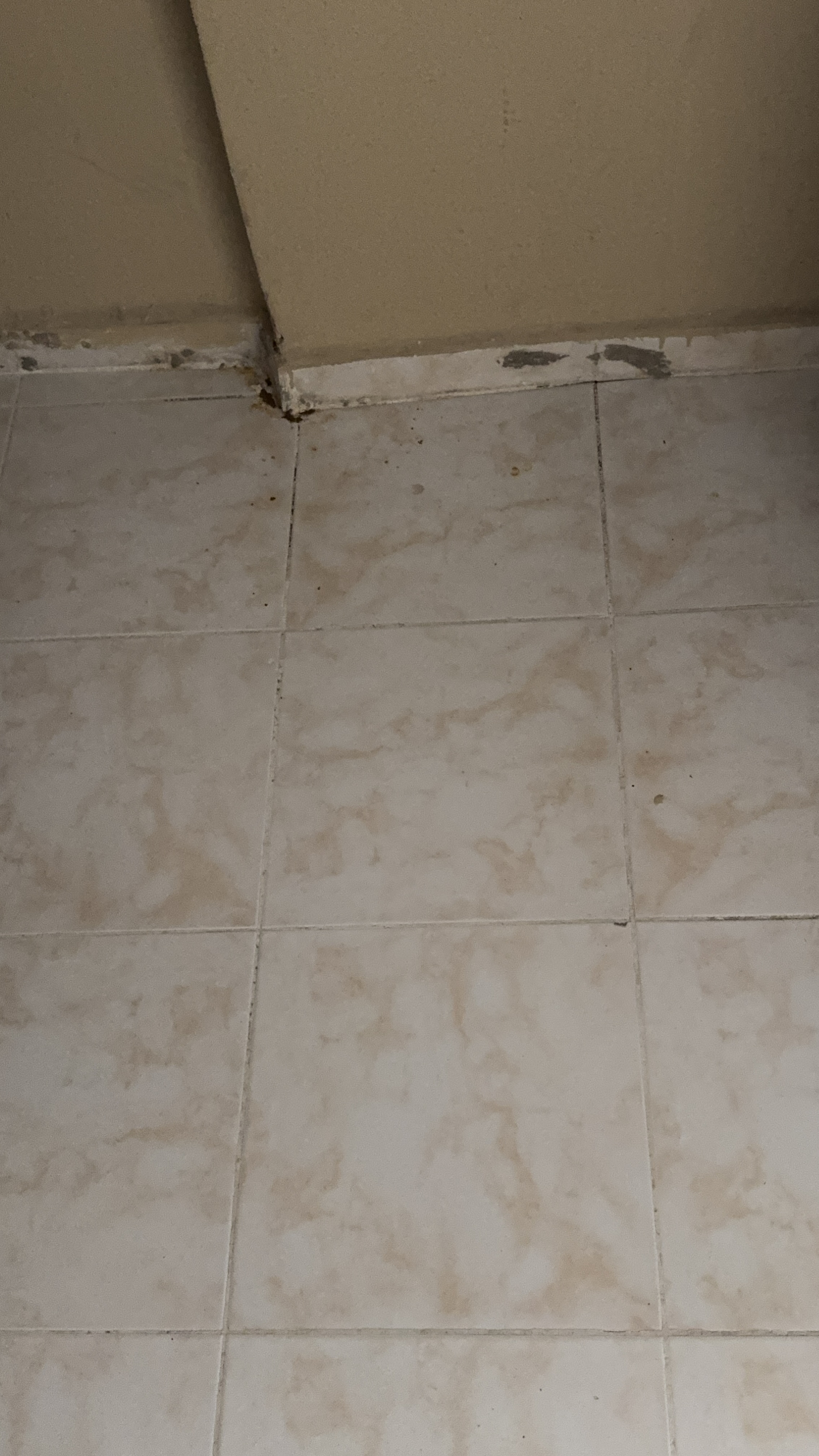 ÖZGÜRoğlu EMLAK ,tan SATILIK 3+1 YÜKSEK GİRİŞ DAİRE - KİLİS MERKEZ fotoğraf 22