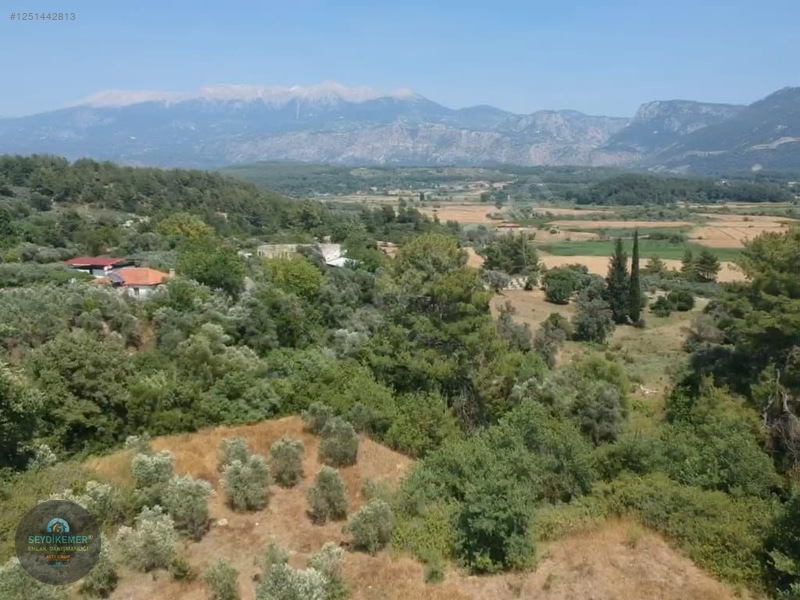 İlan Resmi