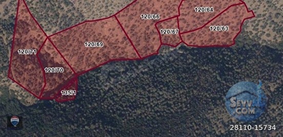 AYDIN BOZDOĞAN OSMANIYE'DE 71.000M² SATILIK ZEYTIN BAHÇESI TAMAMI SATILIK - AYDIN BOZDOĞAN fotoğraf 6