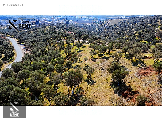 Kemalpaşa Sütçüler Satılık 11.398 m2 Bahçe - İZMİR KEMALPAŞA fotoğraf 2