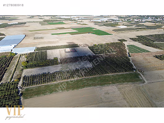 VİP GAYRİMENKUL'den BAYRALAR MAH. 29.648 m² ELMA-ARMUT BAHÇESİ - ANTALYA ELMALI fotoğraf 3