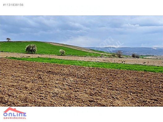 Araç Takaslı - BİLECİK YENİPAZAR fotoğraf 27