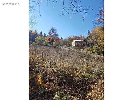 BURSA KESTEL ALAÇAM KÖYÜNDE 2.683 M² TARLA SATILIKTIR - BURSA KESTEL fotoğraf 3