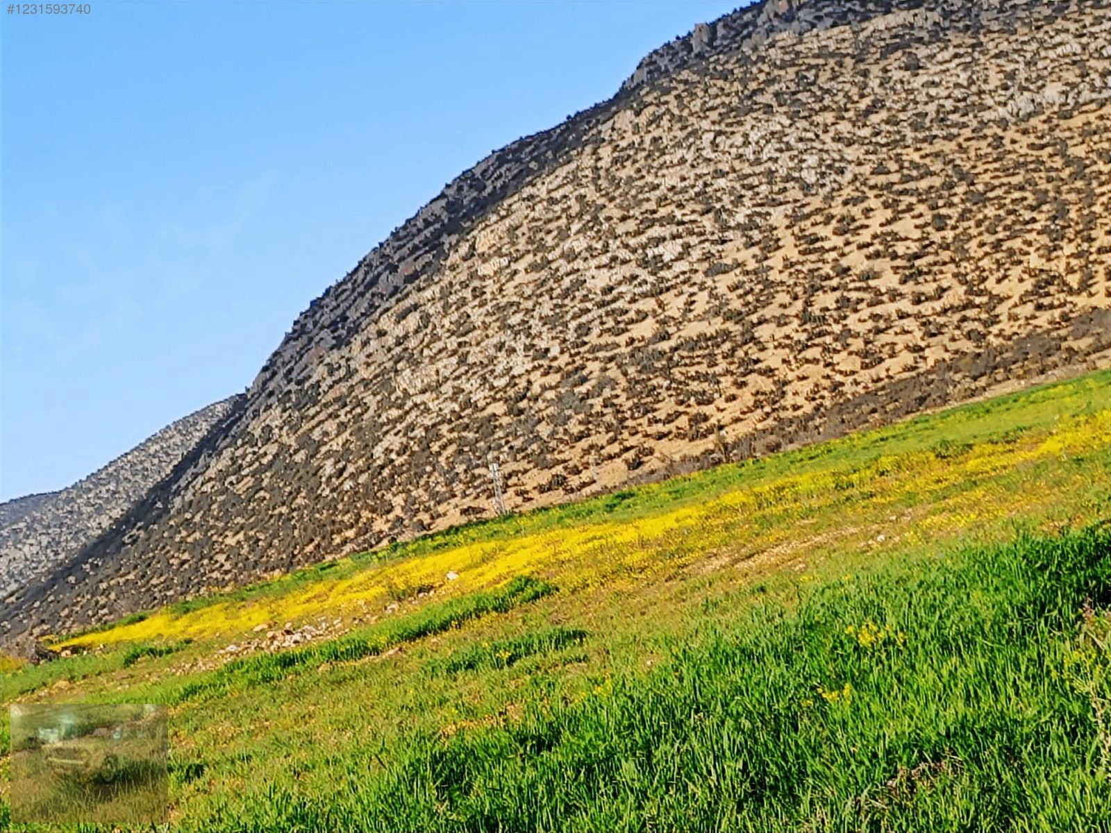 acil satilik!Yazıra datköye komşu imecikte;669m tek tapu yerimiz - ANTALYA KORKUTELİ fotoğraf 27