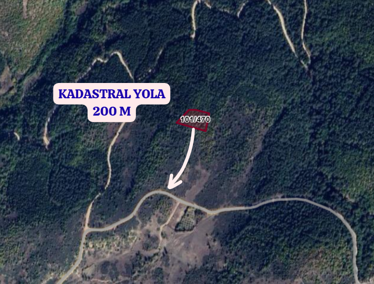 KÜTAHYA DOMANİÇ SARIOT  KÖYÜNDE 4.201 M² TARLA SATILIKTIR - KÜTAHYA DOMANİÇ fotoğraf 4