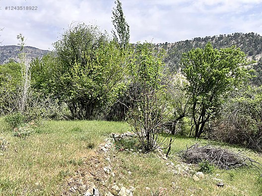   Karaman / Ermenek / Yalındal Köyü 809M² BAHÇE SATILIKTIR.  - KARAMAN ERMENEK fotoğraf 6