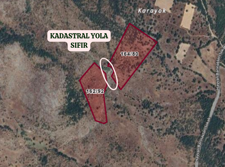 BALIKESİR DURSUNBEY YUKARIMUSALAR  KÖYÜNDE  19.465  M²  TARLA  SATILIKTIR - BALIKESİR DURSUNBEY fotoğraf 3