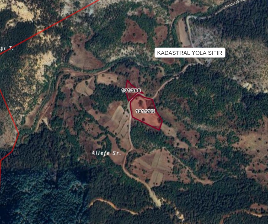 KÜTAHYA DOMANİÇ FINDICAK  KÖYÜ’NDE 15.363 M² TARLA SATILIKTIR - KÜTAHYA DOMANİÇ fotoğraf 3